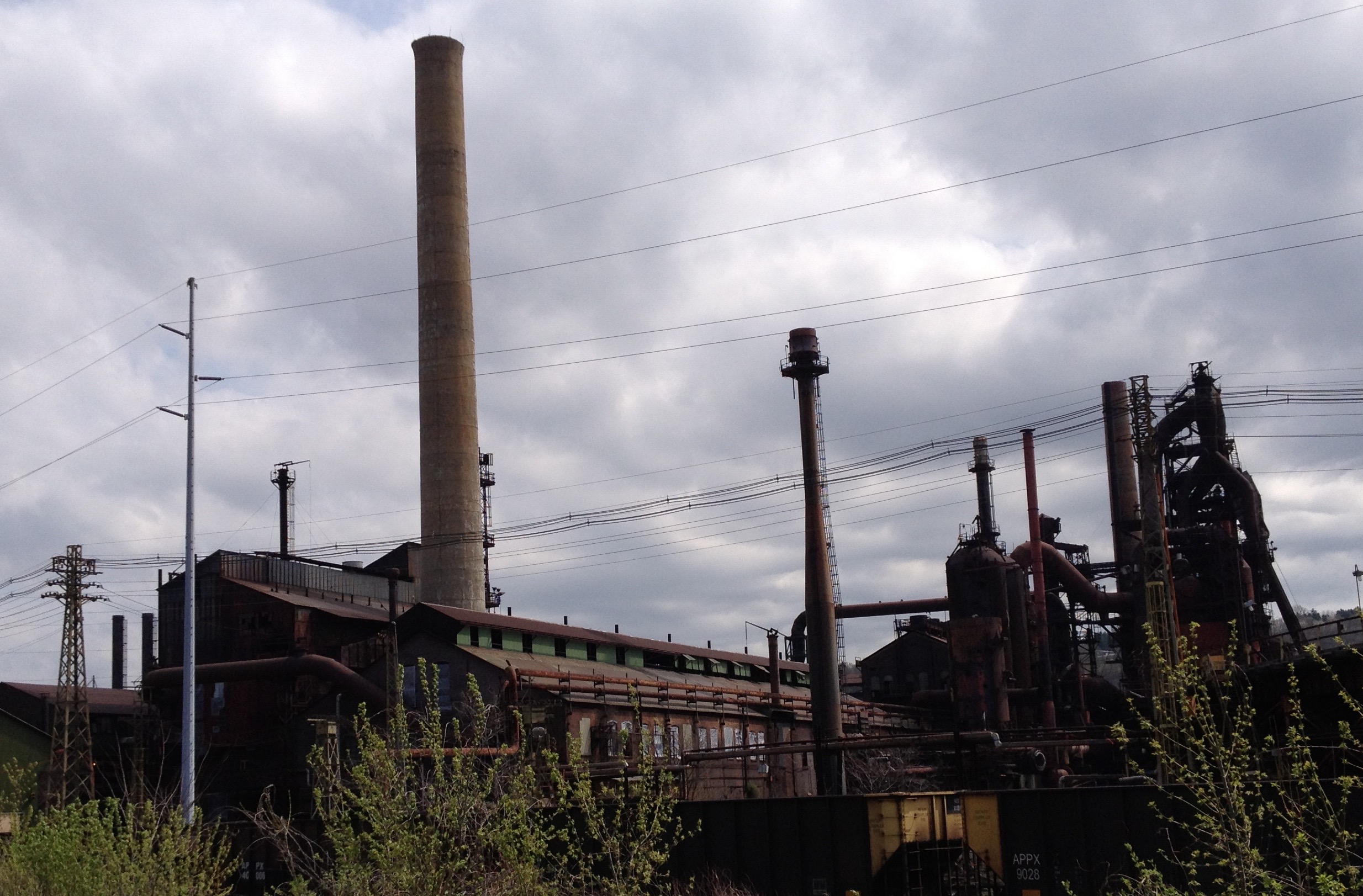 Exploring Mesothelioma Cases in West Virginia