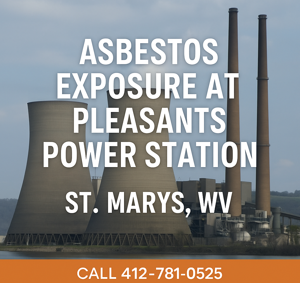 Pleasants Power Station Asbestos